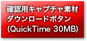 QuickTime File Download